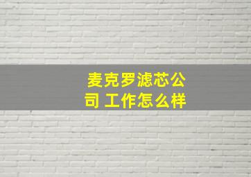 麦克罗滤芯公司 工作怎么样